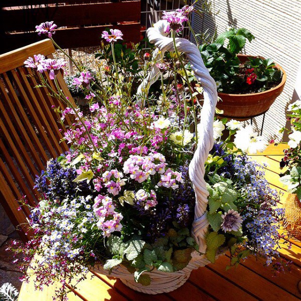 奈良ぎんのいすチョークアートワークスSnow bloom gardenサインボード