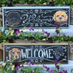 奈良チョークアート教室,ぎんのいすart works, ペット肖像画　,チワワ　 ,チョークアート,トイプードル,チョークアート,オーダー